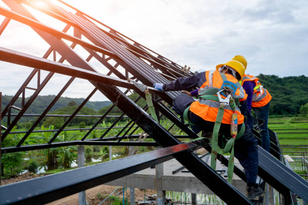 Best Local Roofing Companies  in Dunnavant, AL