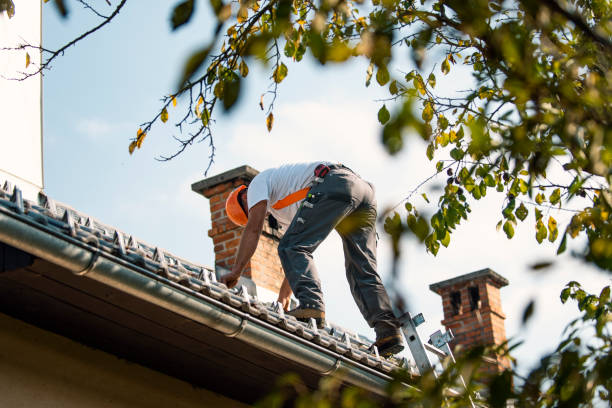 Best Roof Gutter Cleaning  in Dunnavant, AL