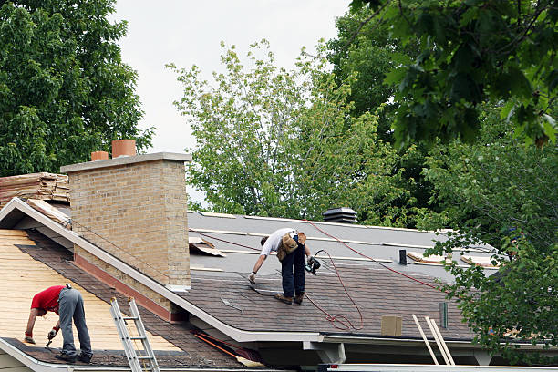 Best Emergency Roof Repair  in Dunnavant, AL