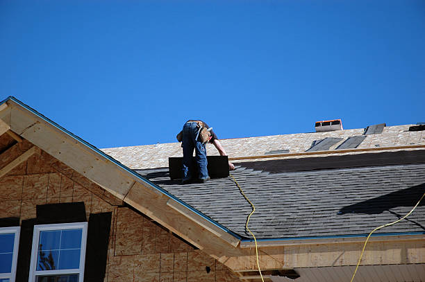 Best Storm Damage Roof Repair  in Dunnavant, AL