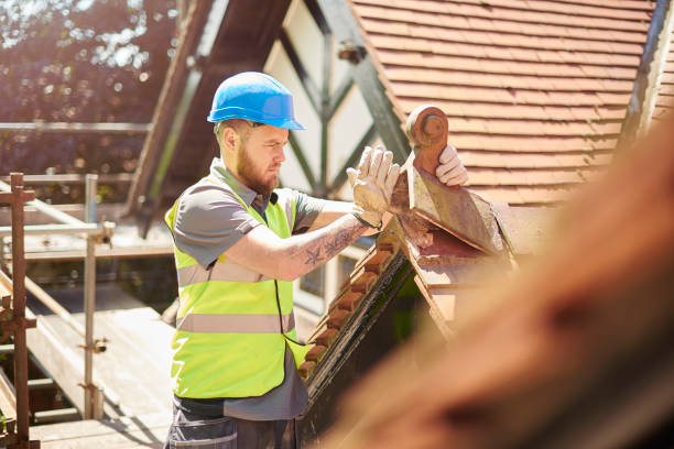 Best Roof Gutter Cleaning  in Dunnavant, AL