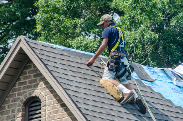 Best Roofing Contractor Near Me  in Dunnavant, AL